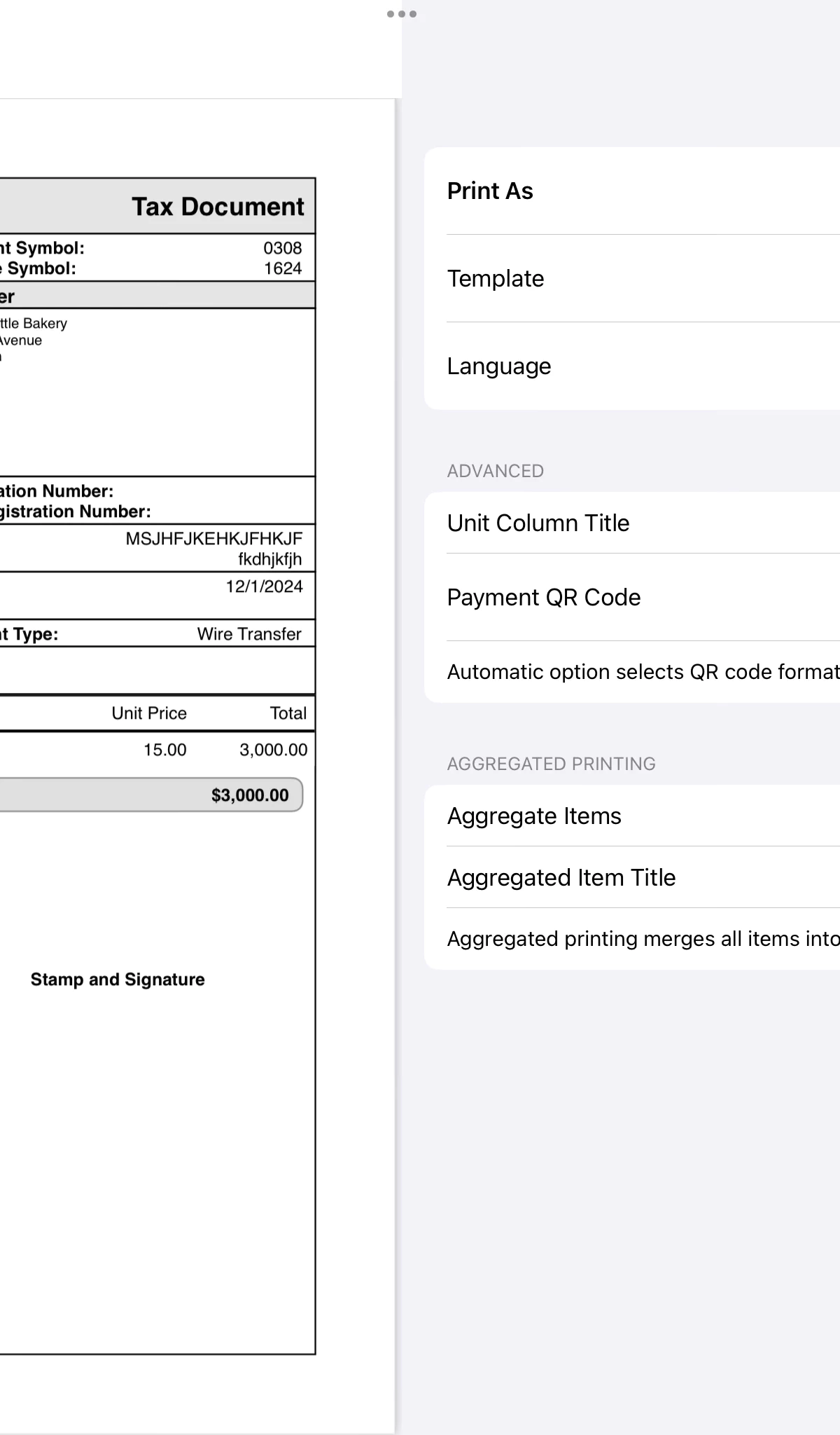Invoice Rex iPadOS 3