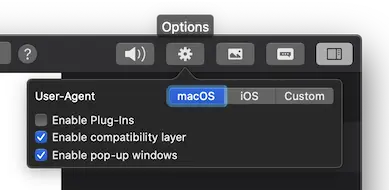 Options